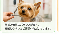 価格設定